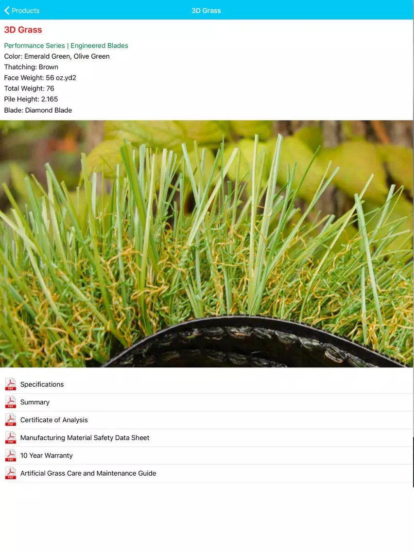 Artificial, Synthetic Grass iPad 应用截图