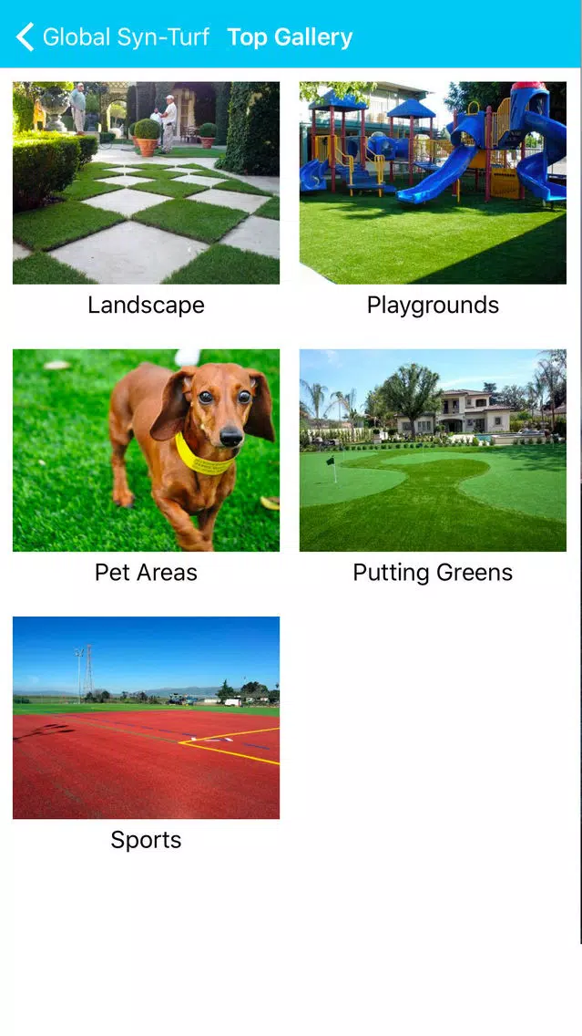 Artificial, Synthetic Grass应用截图