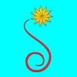SHWE SAN EAIN