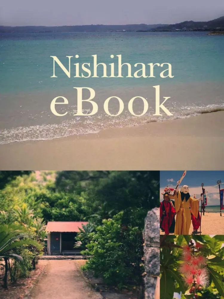 Tangkapan skrin nishihara-ebook iPad 