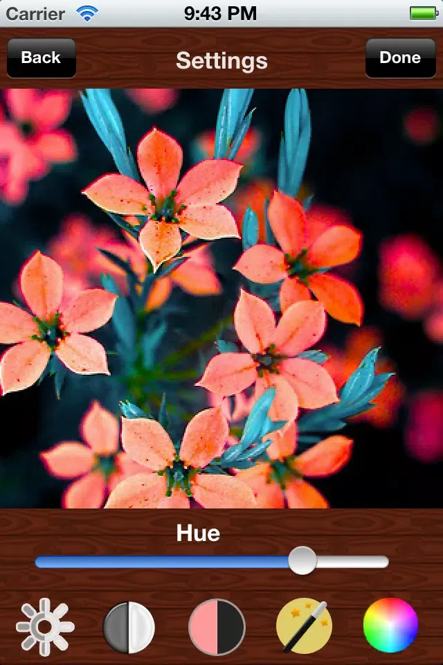Captures d'écran de Play Photo