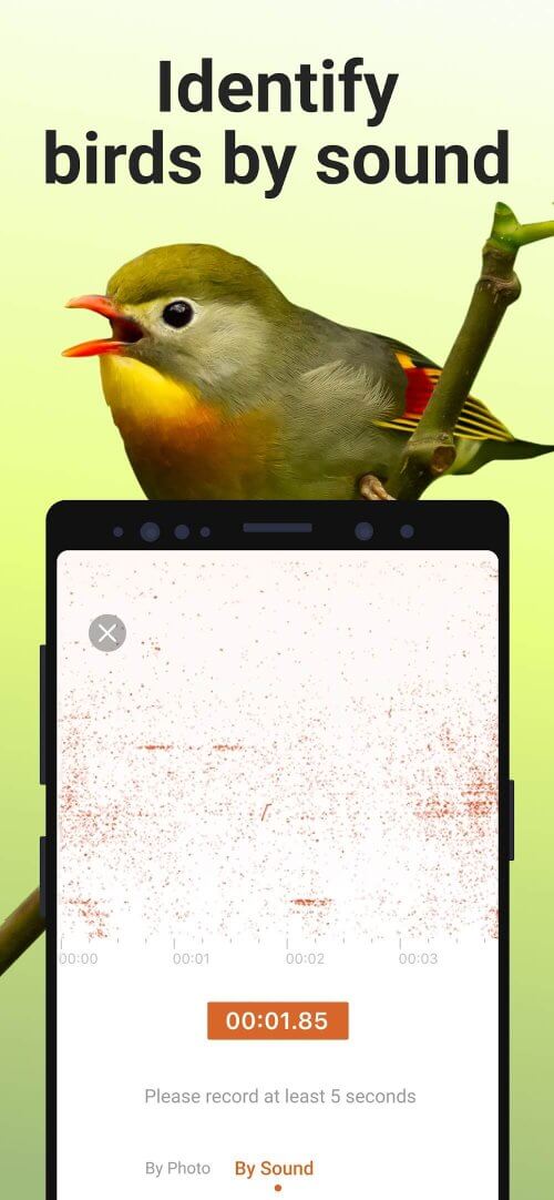 Picture Bird-screenshot-3