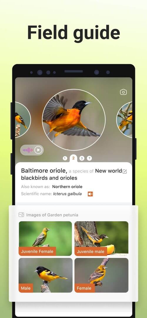 Picture Bird-screenshot-4