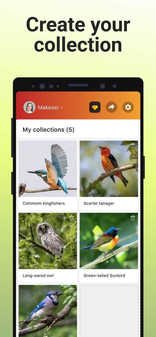 Picture Bird-screenshot-6