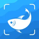 Picture Fish - Fish Identifier