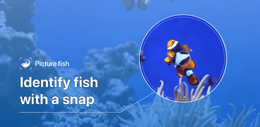 Picture Fish - Fish Identifier