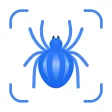 Picture Insect: Bug Identifier