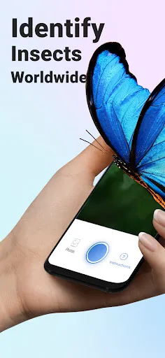 Picture Insect: Bug Identifier Screenshots