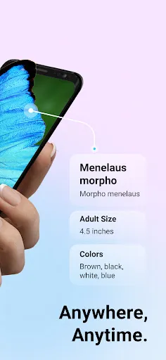 Picture Insect: Bug Identifier Screenshots