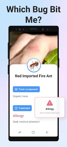 Picture Insect: Bug Identifier Screenshots