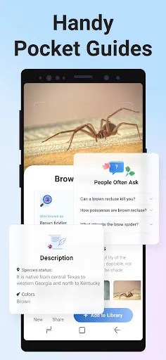 Picture Insect: Bug Identifier Screenshots