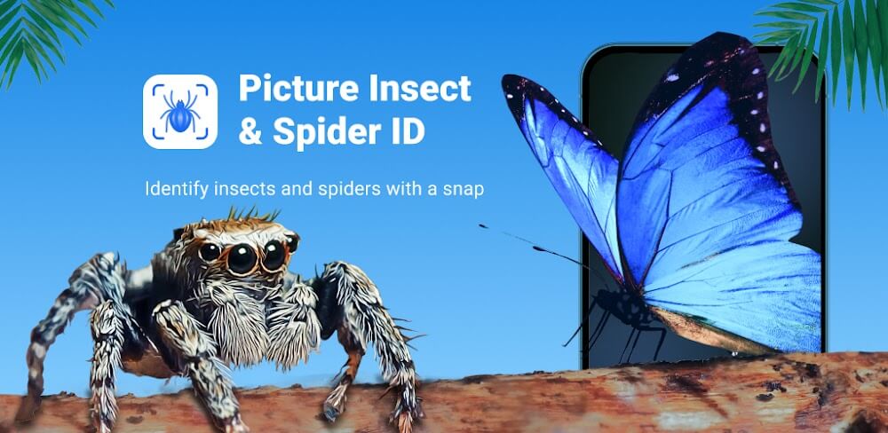 Picture Insect: Bug Identifier