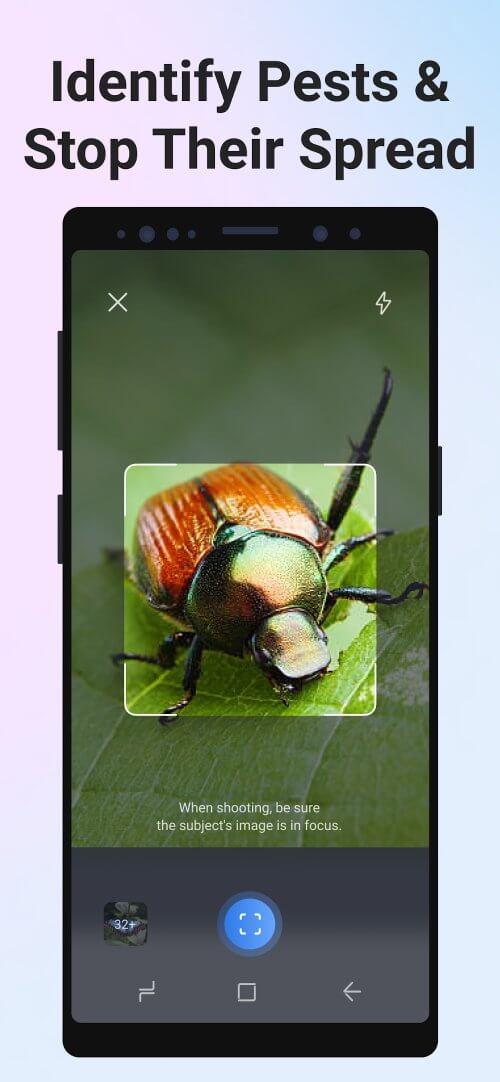 Picture Insect: Bug Identifier-screenshot-5