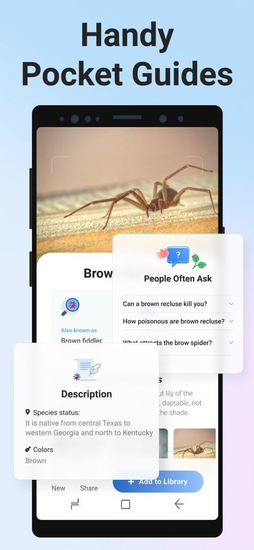 Picture Insect: Bug Identifier-screenshot-6