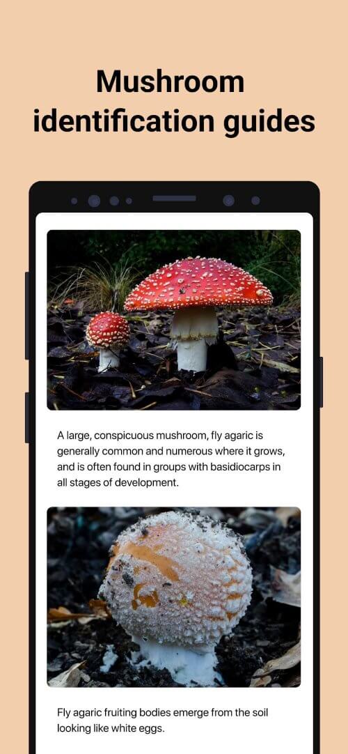 Picture Mushroom-screenshot-4