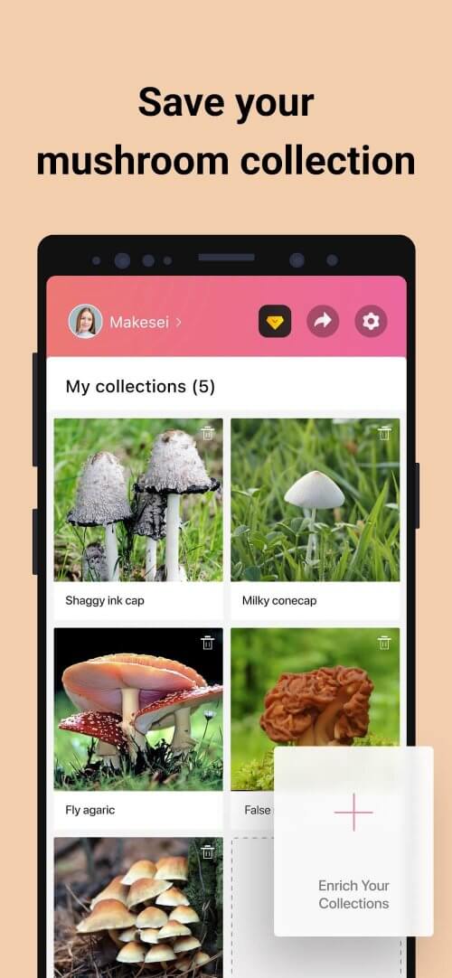 Picture Mushroom-screenshot-5