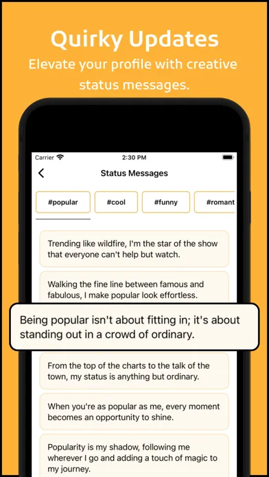 Whats Second Messenger Web App Screenshots
