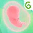 Pregnancy Tracker App | Glow