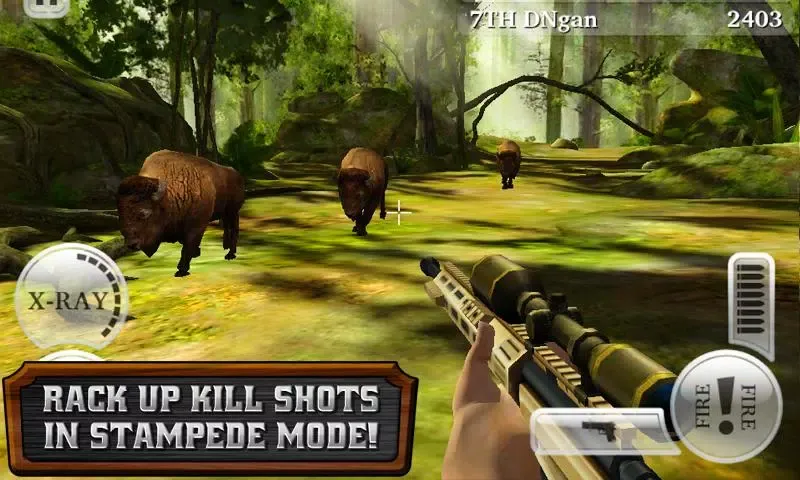 DEER HUNTER RELOADED Screenshots