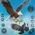 Eagle Simulator - Eagle Games