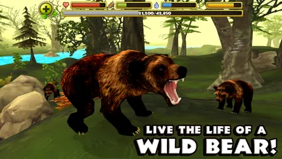 Wildlife Simulator: Bear स्क्रीनशॉट