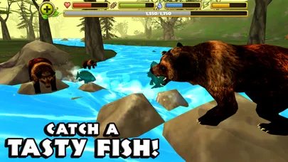 Wildlife Simulator: Bear स्क्रीनशॉट