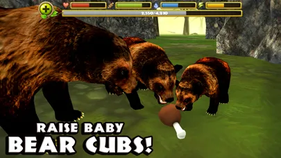 Wildlife Simulator: Bear स्क्रीनशॉट