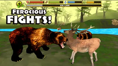 Wildlife Simulator: Bear स्क्रीनशॉट