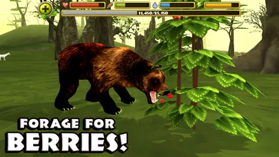 Wildlife Simulator: Bear स्क्रीनशॉट