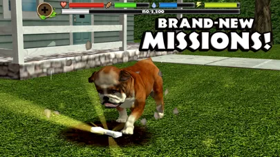 Ảnh chụp màn hình của Stray Dog Simulator