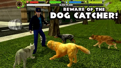 Ảnh chụp màn hình của Stray Dog Simulator