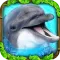 Dolphin Simulator