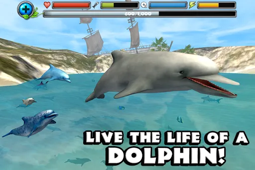Dolphin Simulator应用截图