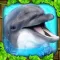 Dolphin Simulator