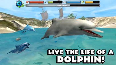 Captures d'écran de Dolphin Simulator