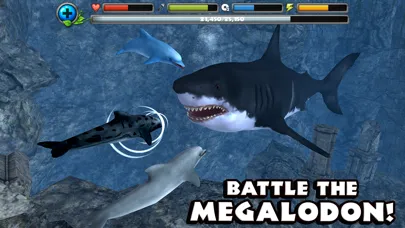Captures d'écran de Dolphin Simulator
