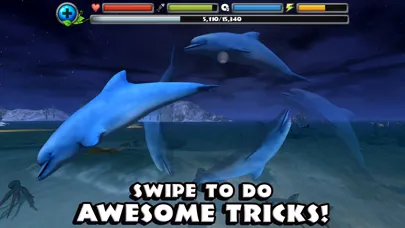 Captures d'écran de Dolphin Simulator