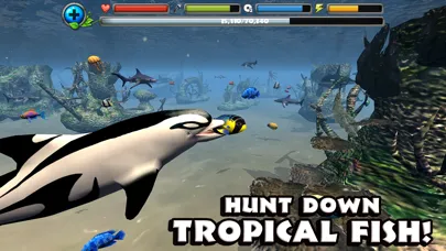 Captures d'écran de Dolphin Simulator