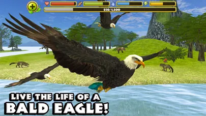 Captures d'écran de Eagle Simulator