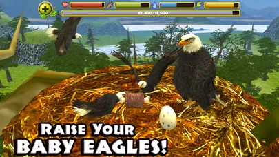 Captures d'écran de Eagle Simulator