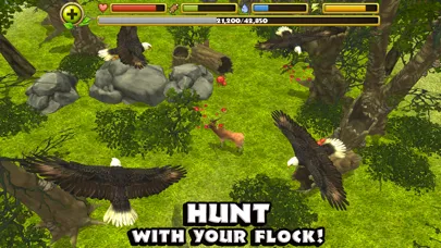 Captures d'écran de Eagle Simulator