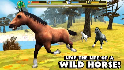 Wild Horse Simulator 스크린샷