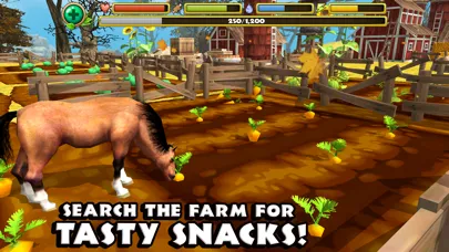 Wild Horse Simulator 스크린샷