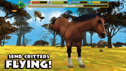 Wild Horse Simulator 스크린샷