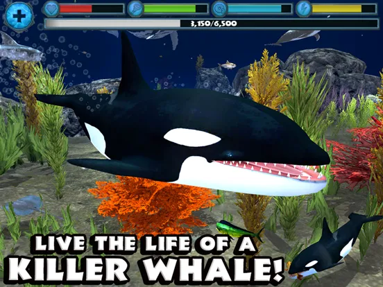 Orca Simulator iPad  스크린샷