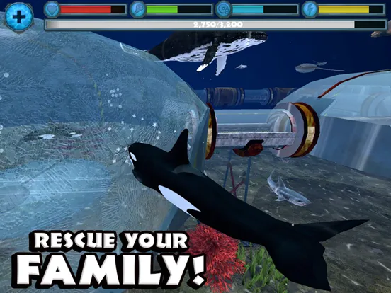 Orca Simulator iPad  스크린샷