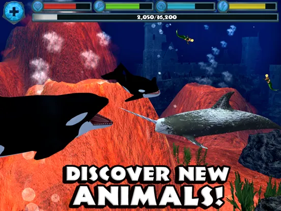 Orca Simulator iPad  스크린샷