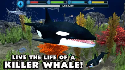 Orca Simulator 스크린샷
