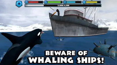 Orca Simulator 스크린샷