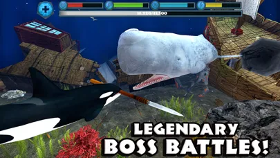 Orca Simulator 스크린샷